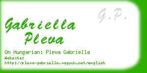 gabriella pleva business card